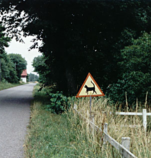 Vägmärke kattskylt - kattövergång.