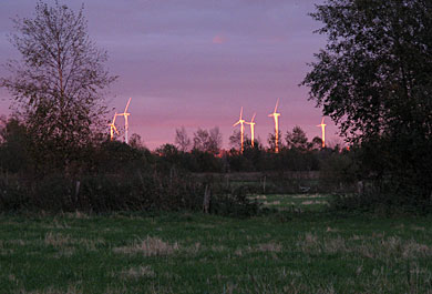 I kvällsljuet blir vindkraftverken solfångare.